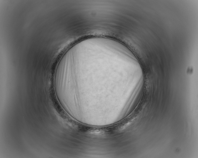 X0000090890208200708171712