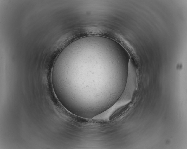 X0000090890209200708171712