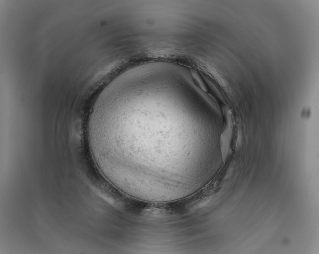 X0000090890211200708171712