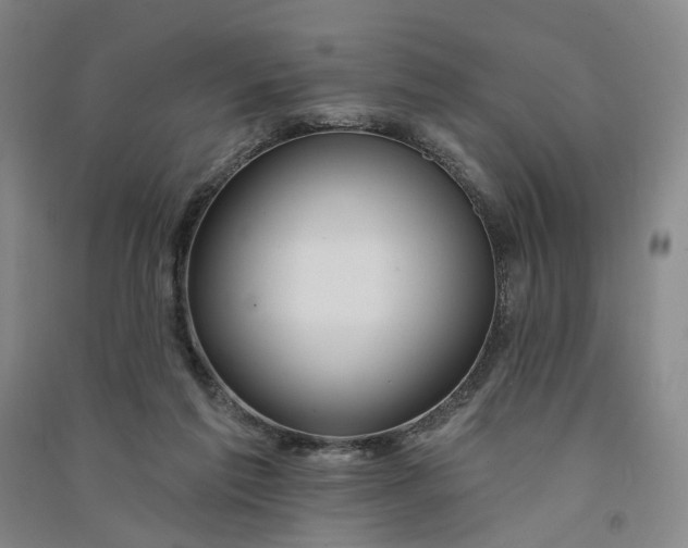 X0000090890213200708171712