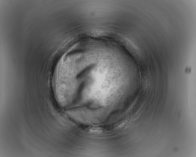 X0000090890214200708171712