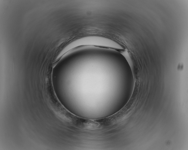 X0000090890215200708171712