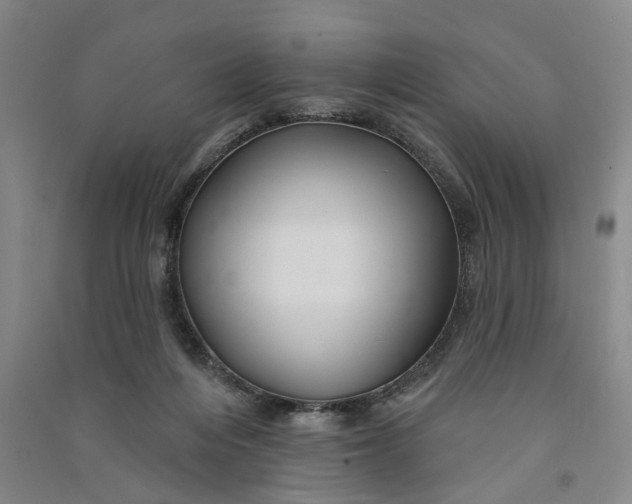 X0000090890216200708171712