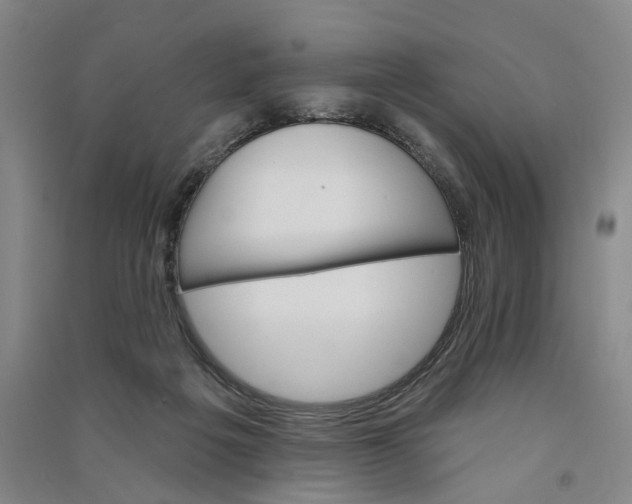 X0000090890217200708171712