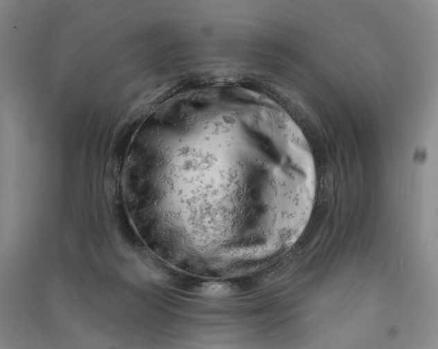 X0000090890218200708171712