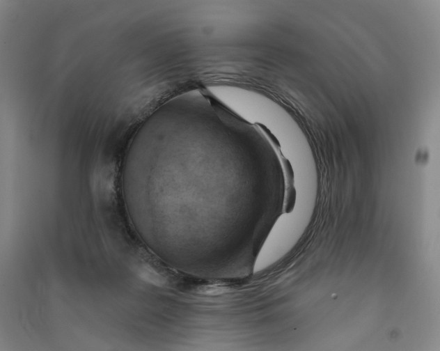 X0000090890219200708171712