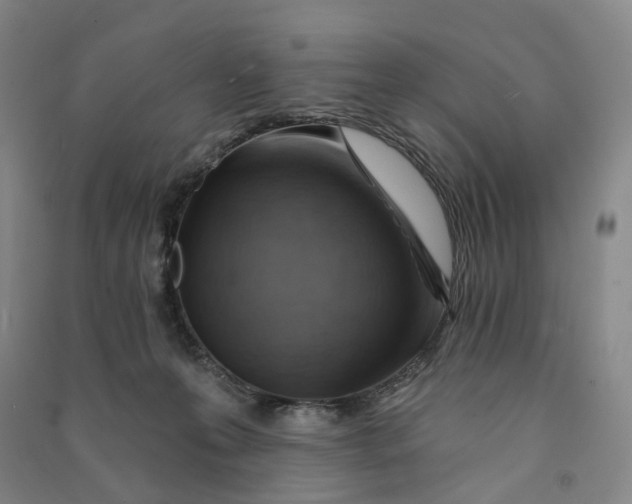 X0000090890223200708171712