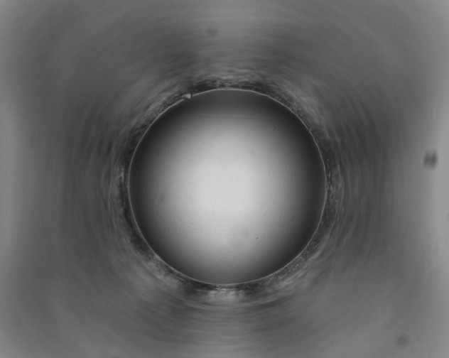 X0000090890225200708171712