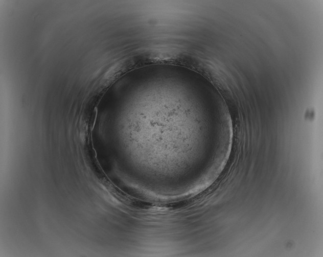 X0000090890227200708171712