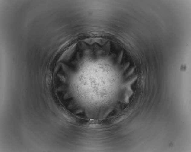 X0000090890228200708171712