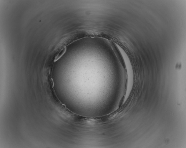 X0000090890229200708171712