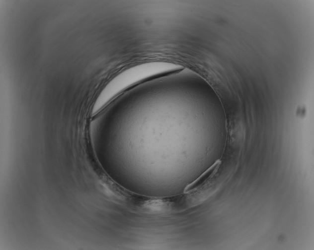 X0000090890231200708171712