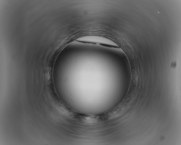 X0000090890232200708171712