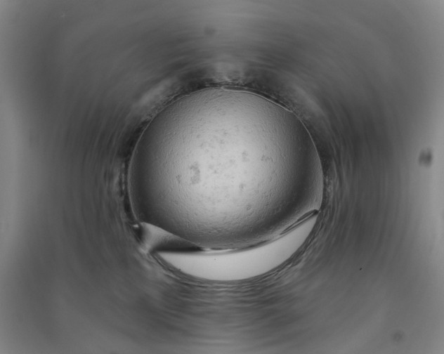 X0000090890233200708171712