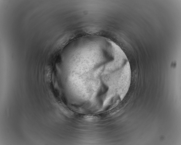 X0000090890234200708171712