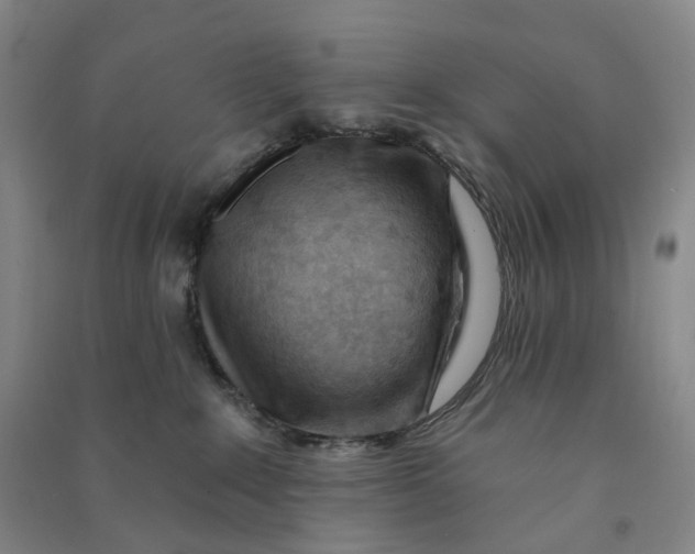 X0000090890235200708171712