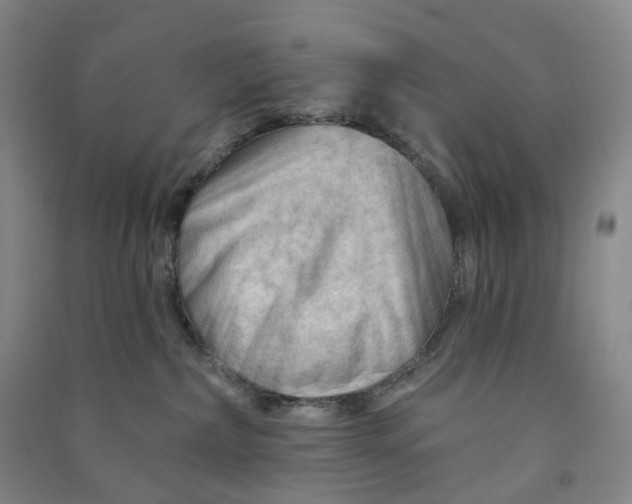 X0000090890236200708171712