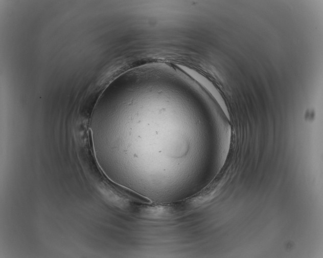 X0000090890237200708171712