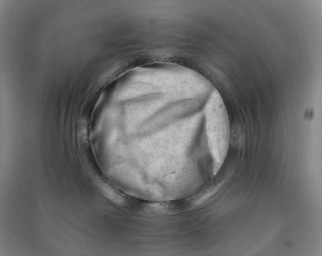 X0000090890238200708171712