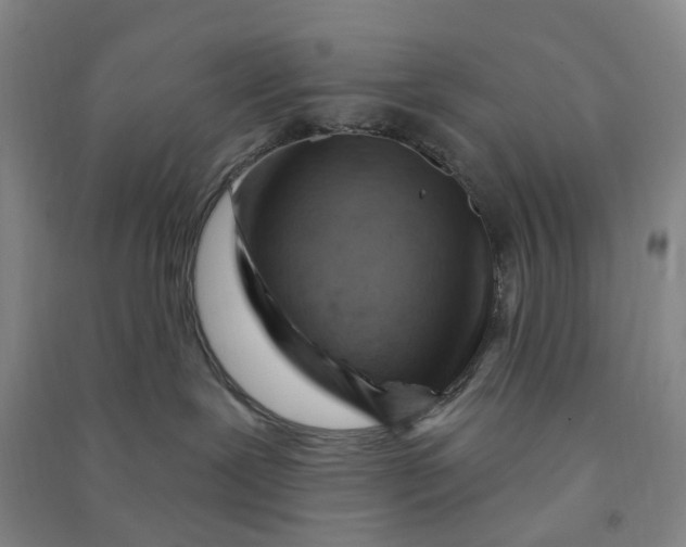 X0000090890239200708171712