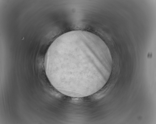 X0000090890240200708171712