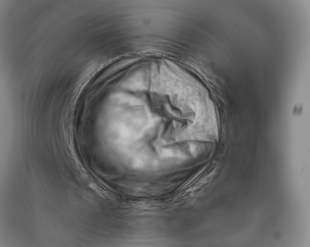 X0000090890241200708171711