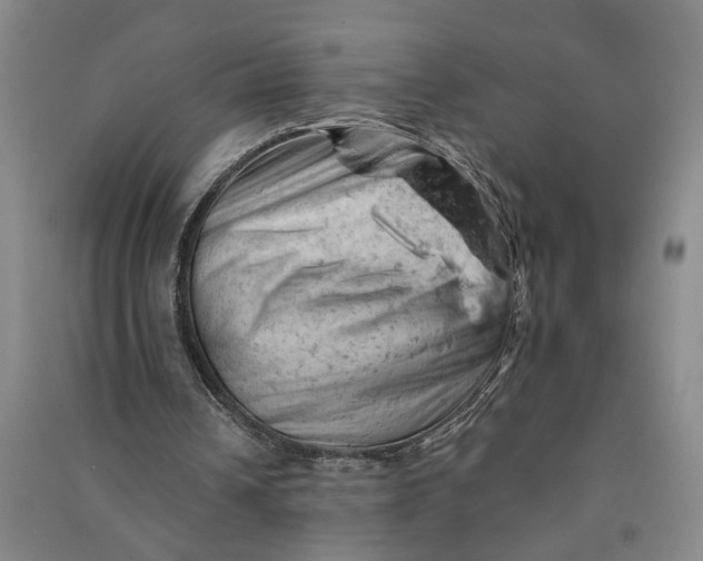 X0000090890242200708171711