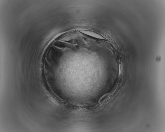 X0000090890243200708171711