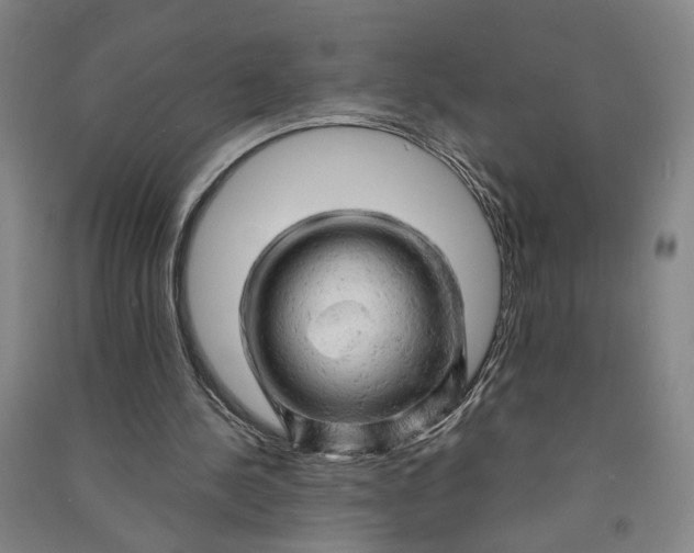 X0000090890244200708171711