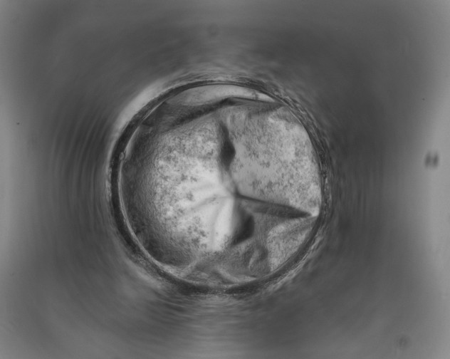 X0000090890246200708171711