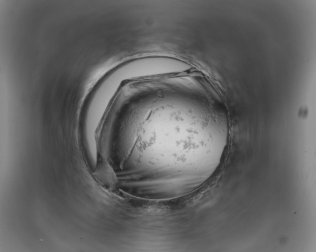 X0000090890248200708171711