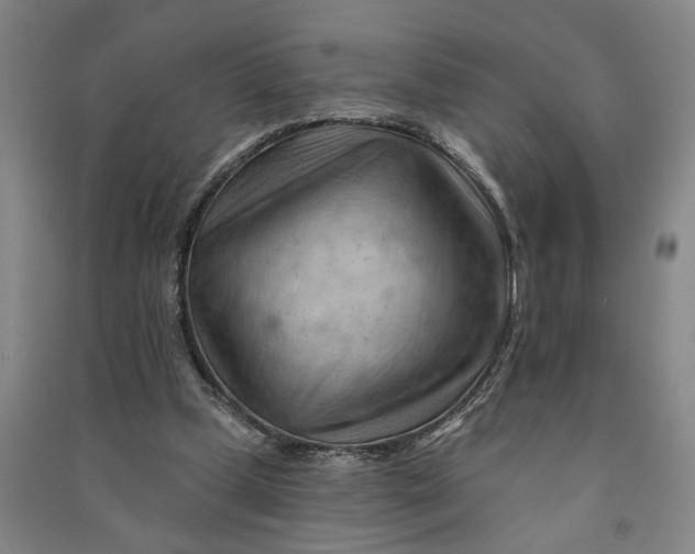 X0000090890249200708171711