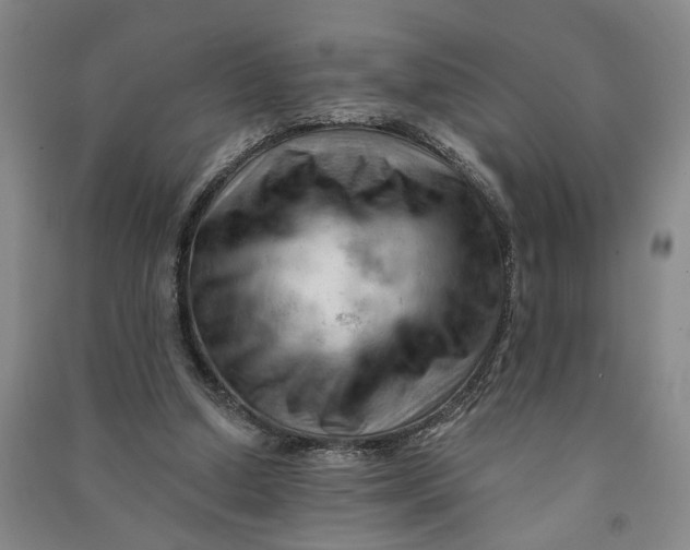 X0000090890250200708171711