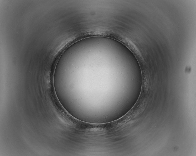 X0000090890251200708171711