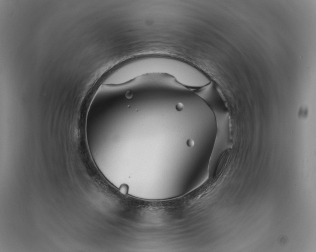 X0000090890252200708171711