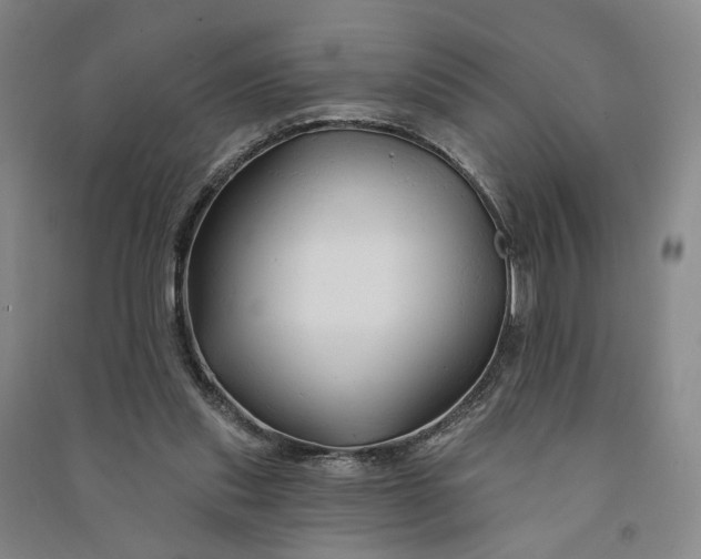 X0000090890253200708171711