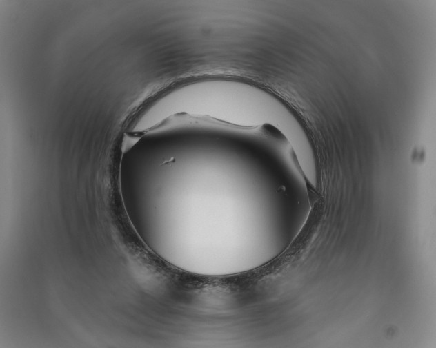 X0000090890256200708171711