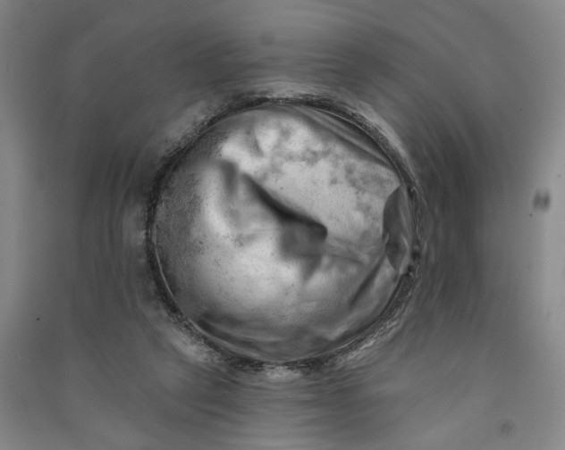 X0000090890257200708171711