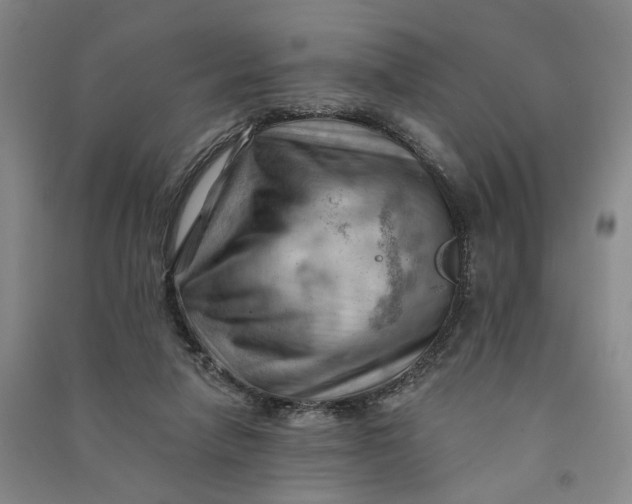 X0000090890258200708171712