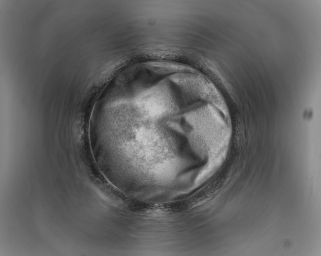 X0000090890259200708171712