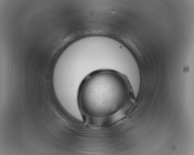 X0000090890260200708171712