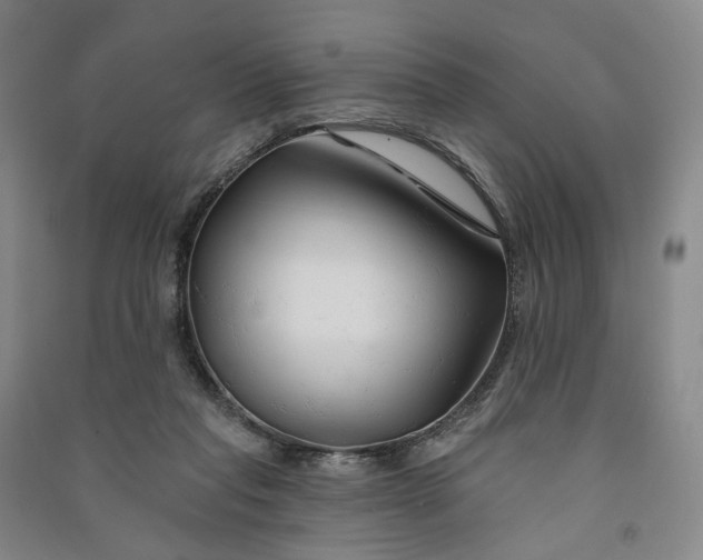 X0000090890261200708171712