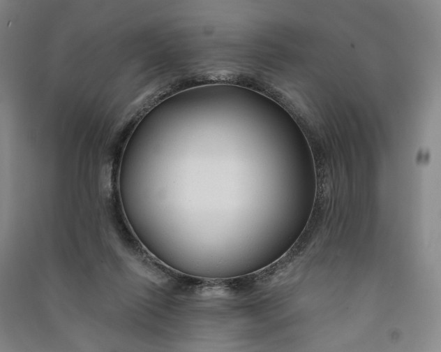 X0000090890262200708171712