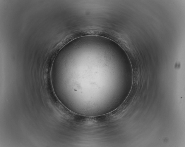 X0000090890263200708171712