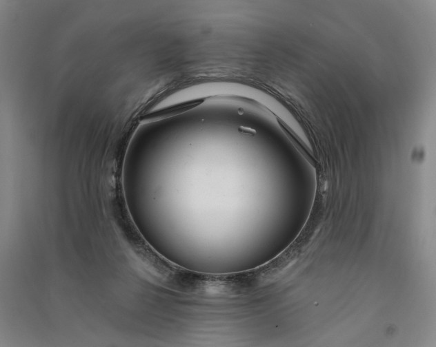 X0000090890264200708171712