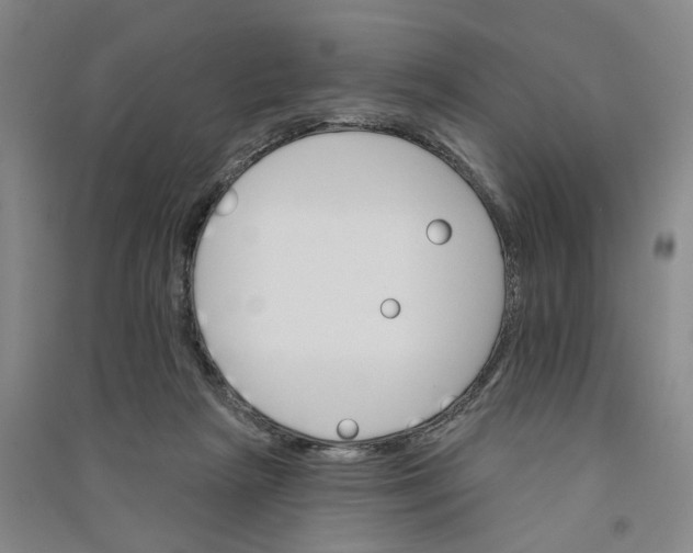 X0000090890265200708171712