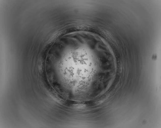 X0000090890266200708171712