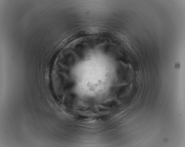 X0000090890267200708171712