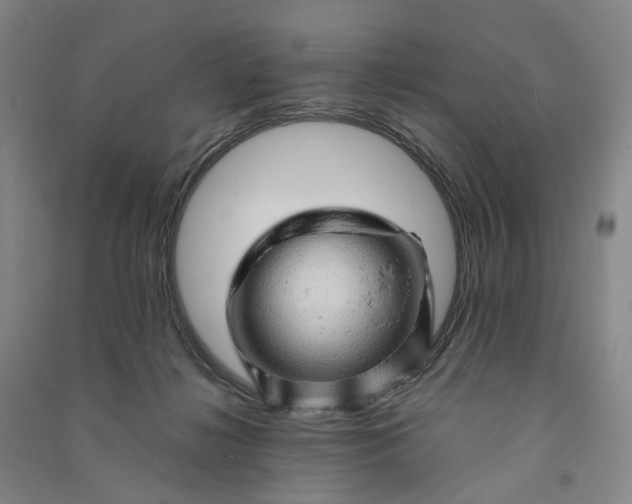 X0000090890268200708171712