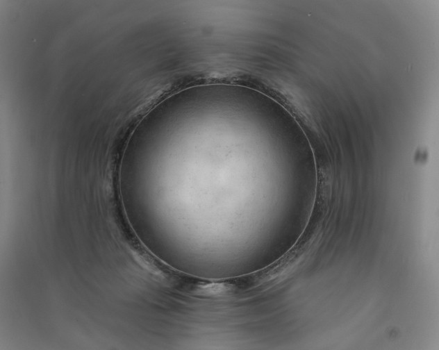 X0000090890269200708171712